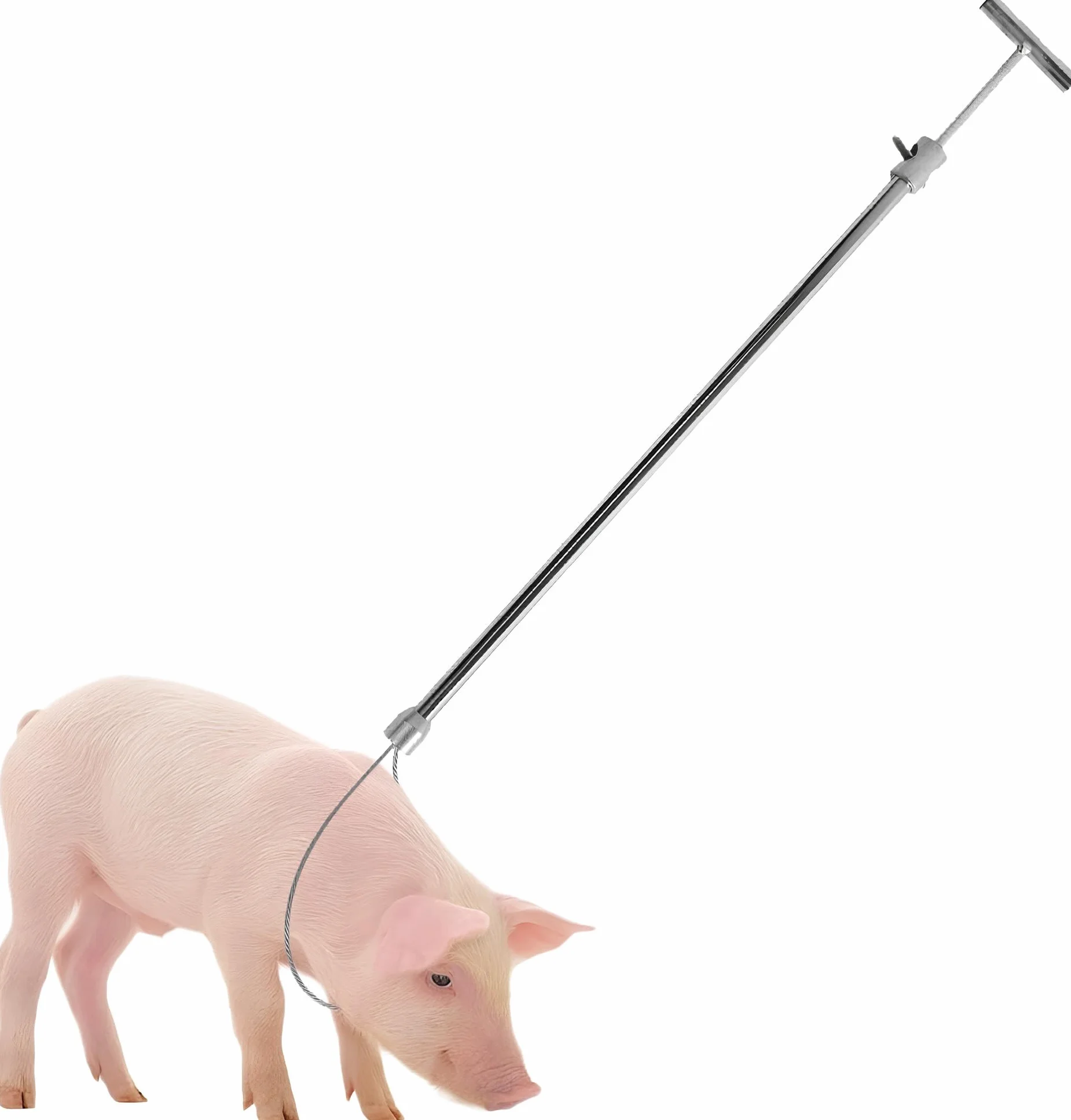 Schweinefangstange Edelstahl Tier-Fixierhilfe verstellbar 67-114cm | Ergonomischer Griff für Einhandbedienung robuste 4mm Drahtschlaufe sichere und stressfreie Fixierung bei der Behandlung