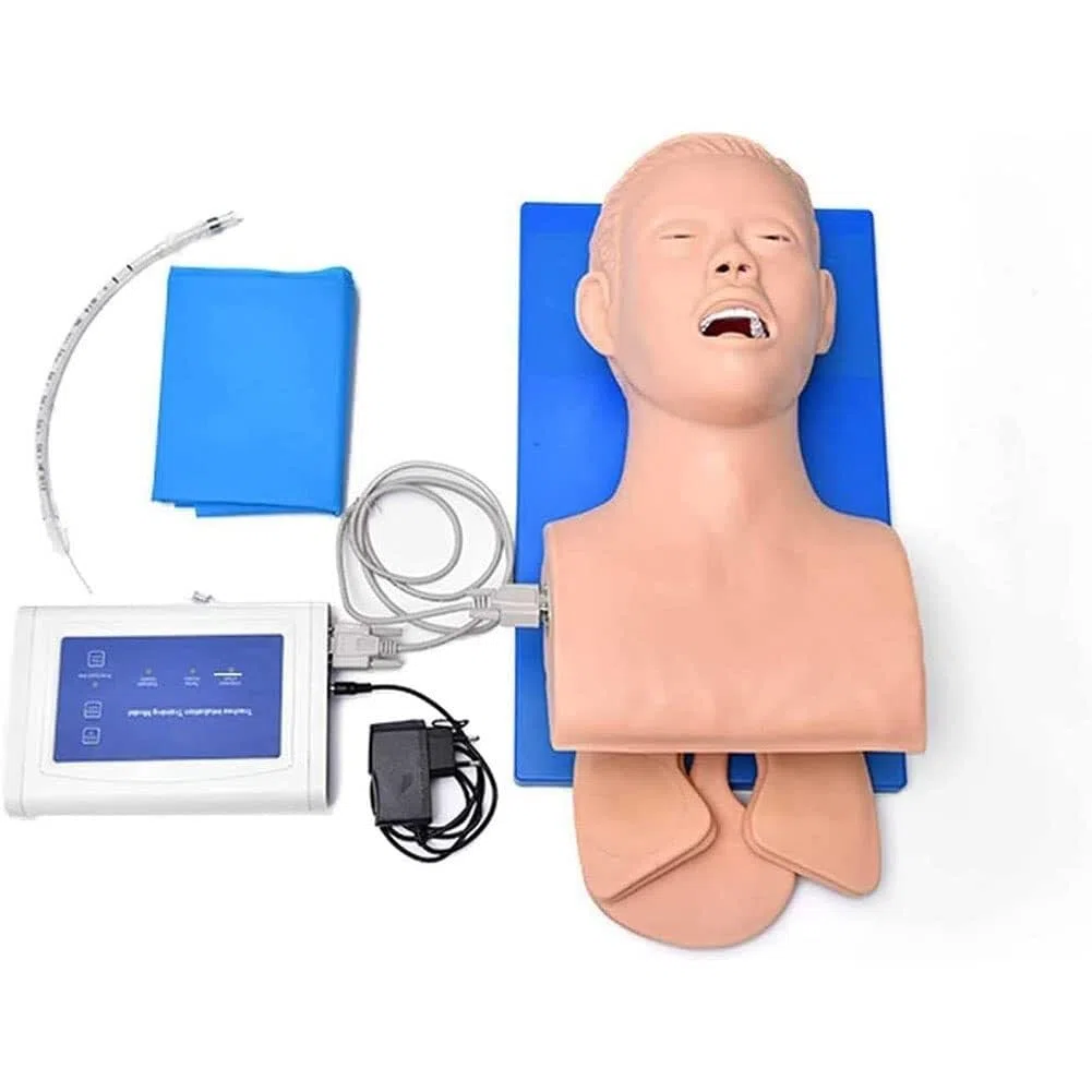 XUEQI Erwachsene Intubationsmodell, Trachealintubationssimulator, PVC Intubation Manikin Unterrichtsmodell, Airway Management Trainer