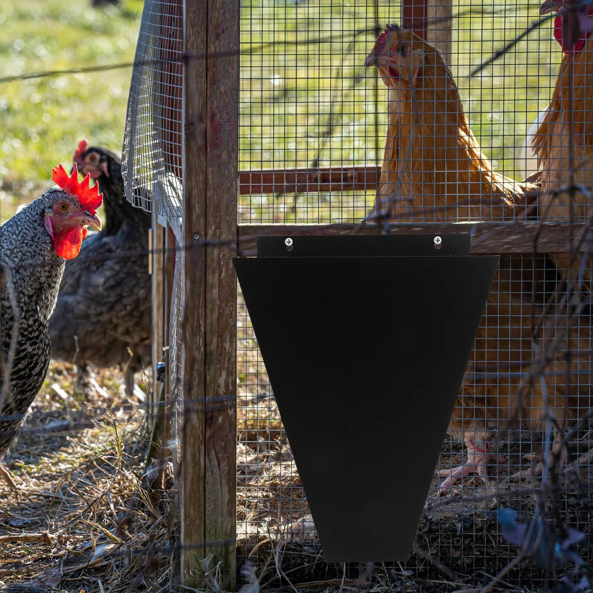 Outanaya Geflügel Haltekegel Edelstahl Rostfrei Hühnerschlachttrichter Für Kleinhähne Und Große Hühner Landwirtschaftliches Schlachtzubehör Langlebig Vielseitig