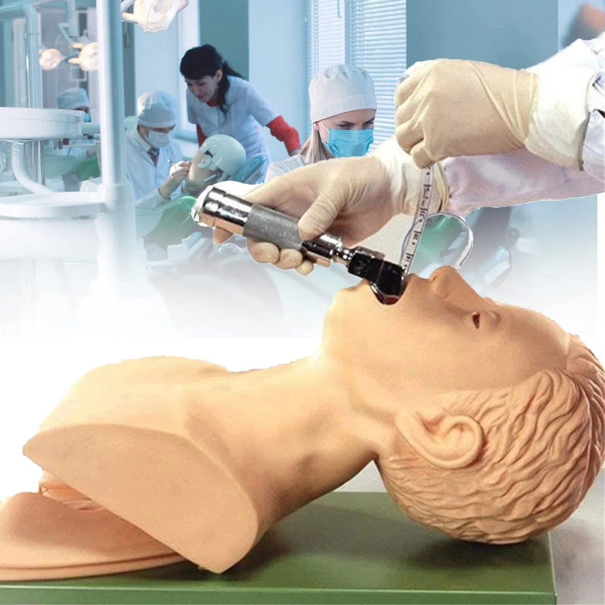Intubationspuppe Erwachsene PVC Tracheale Intubationsmodell für Atemwegsmanagement Unterricht