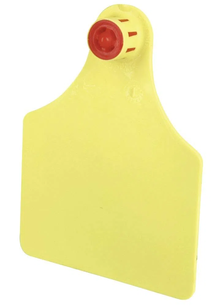 FlexoPlus Rinder-Ohrmarke D/D blanko, Dorn- u Lochteil, gelb